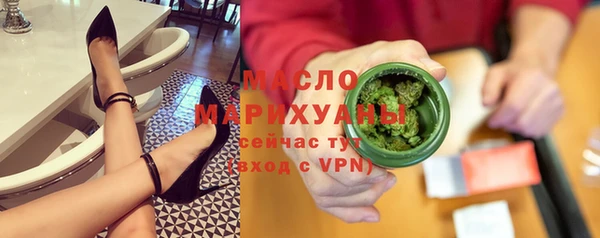 дживик Бородино