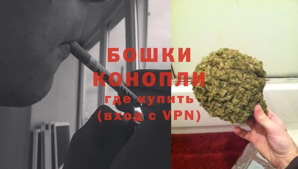 дживик Бородино