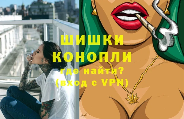 дживик Бородино
