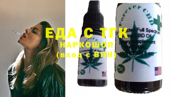 дживик Бородино