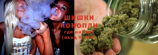 дживик Бородино