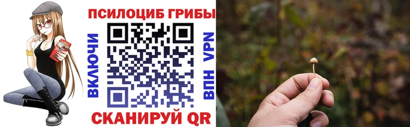что такое наркотик  Нальчик  Галлюциногенные грибы мицелий 